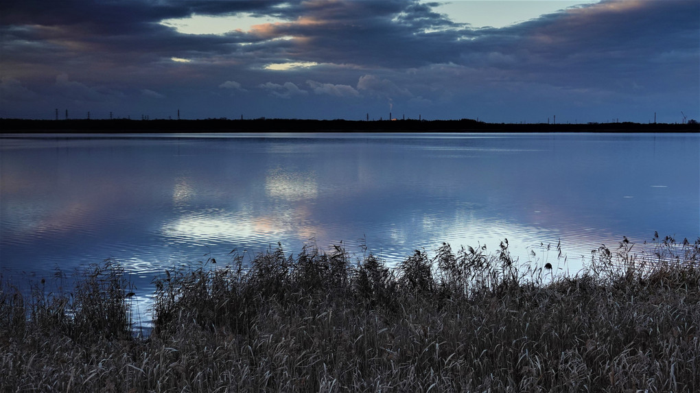 晩秋のウトナイ湖