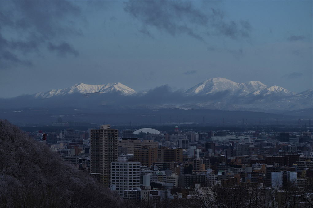 札幌平地積雪