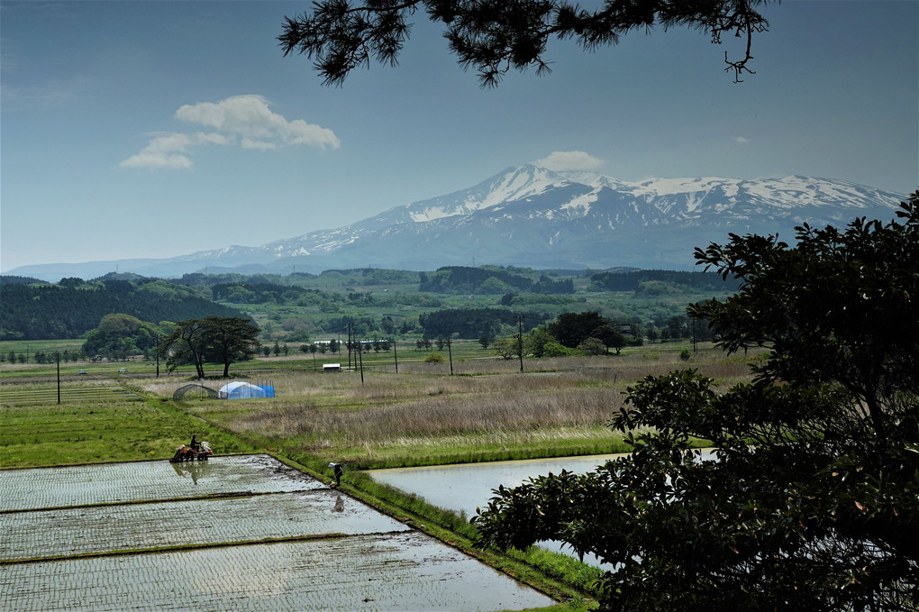 象潟(きさかた)の松島から鳥海山