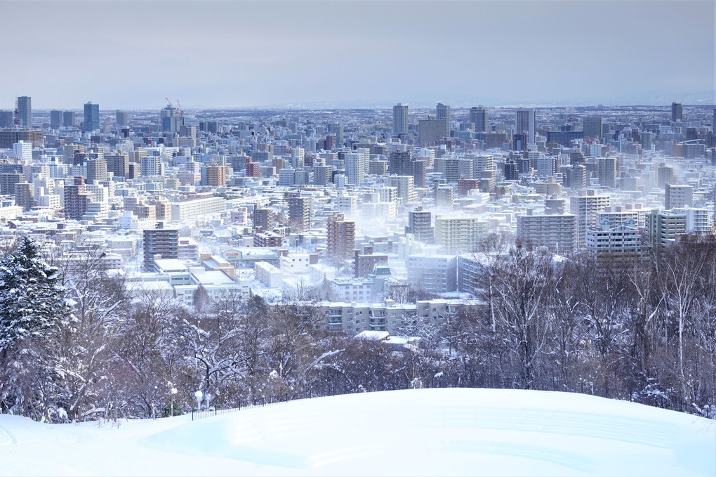 新雪と風の日