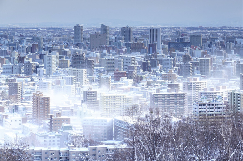 新雪と風の日