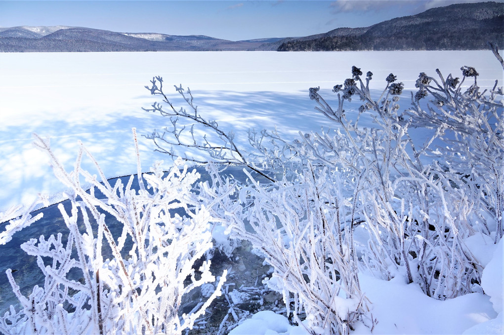 阿寒湖の樹氷