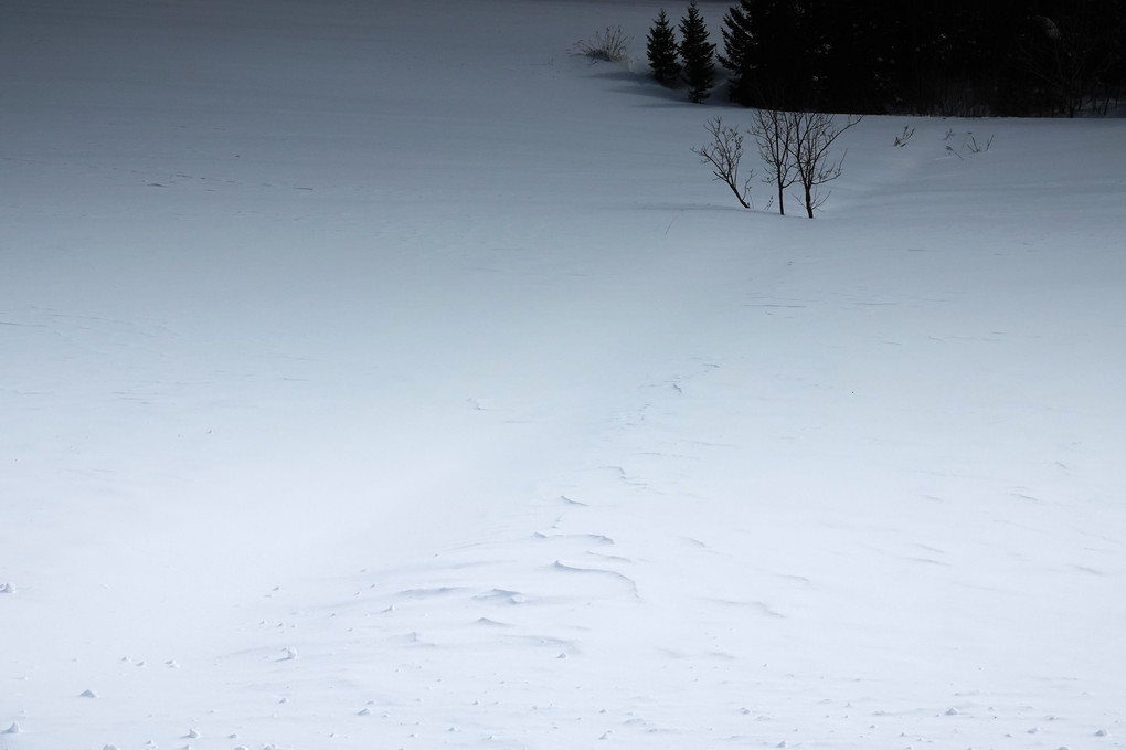 雪原の風紋と足跡