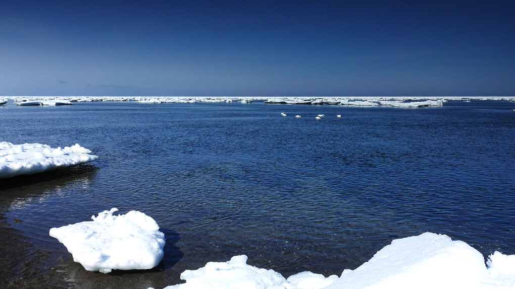 流氷の海　春国岱