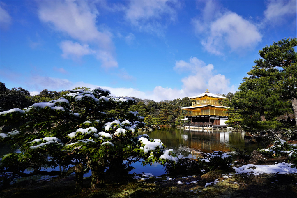 雪の金閣寺！