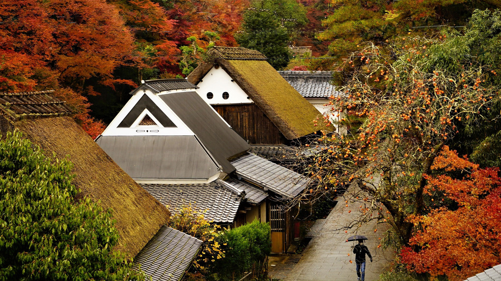 　豪雨に遭遇した紅葉撮影　化野念仏寺