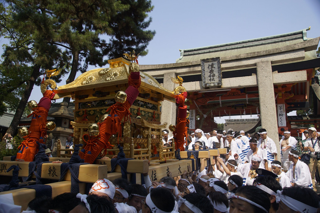 大阪一の大神輿が川を渡る！べぇら！べぇら！