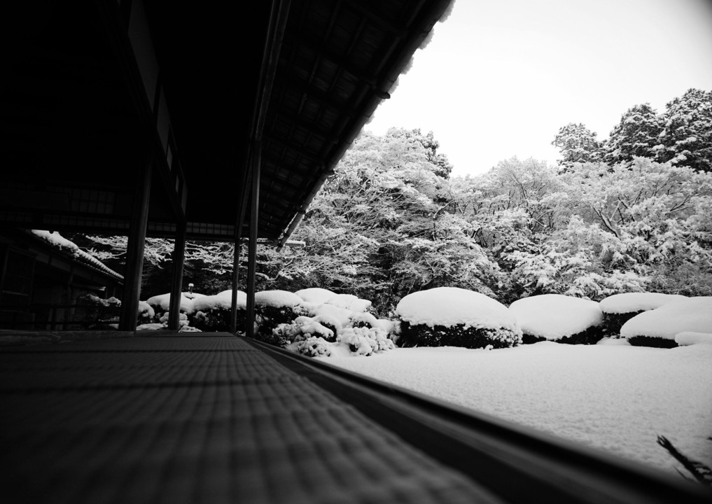 雪の名園撮影！洛北へ！①