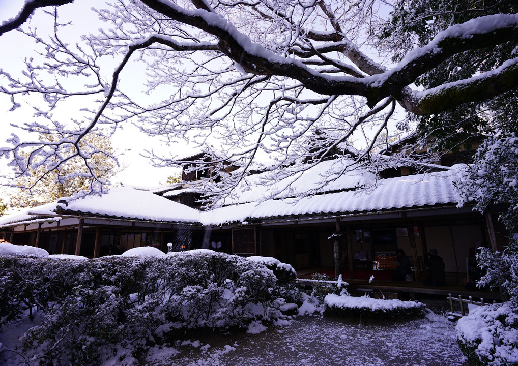 雪の名園撮影！洛北へ！①