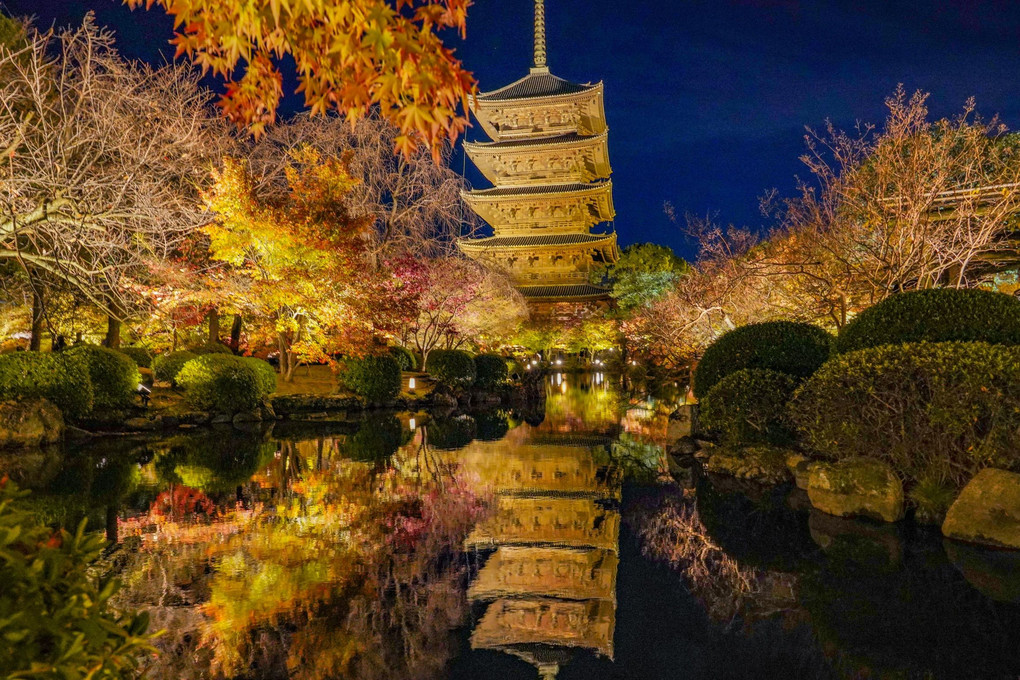 京都東寺の紅葉ライトアップとリフレクション