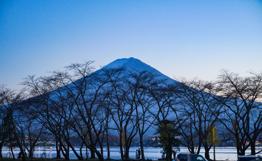 枯木も富士山の賑わい