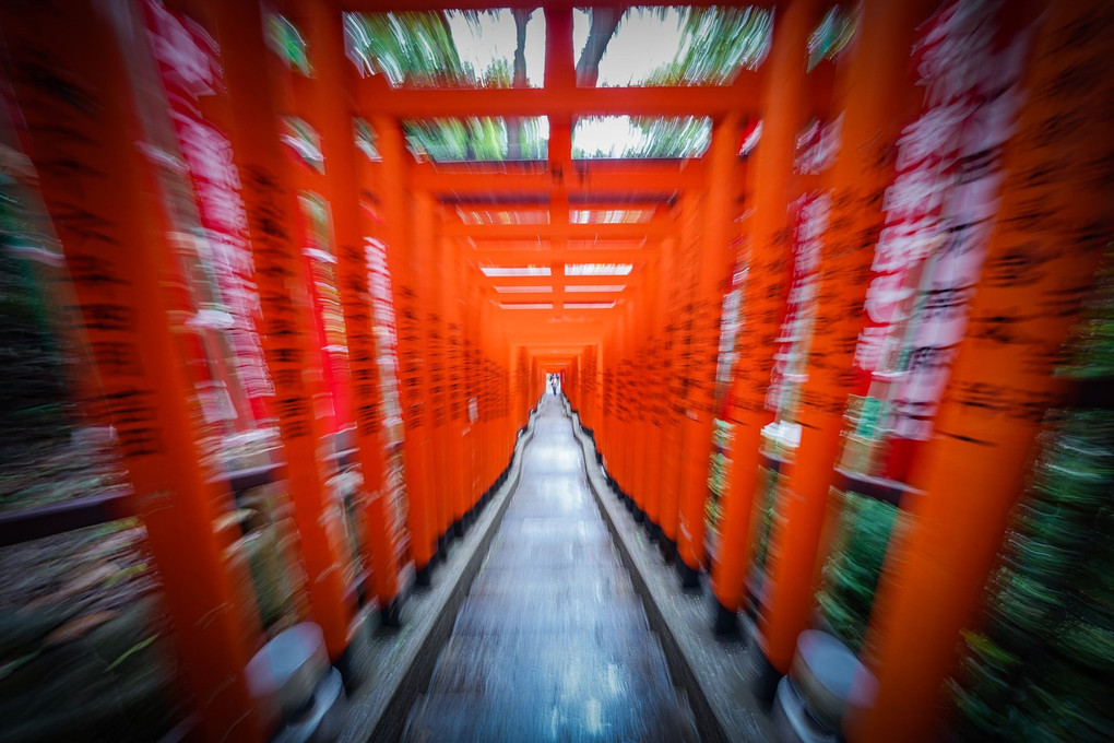 赤坂の神社 スナップ撮影