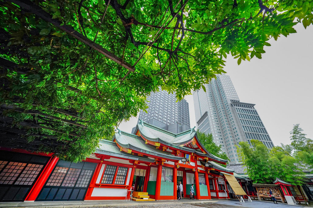 赤坂の神社 スナップ撮影