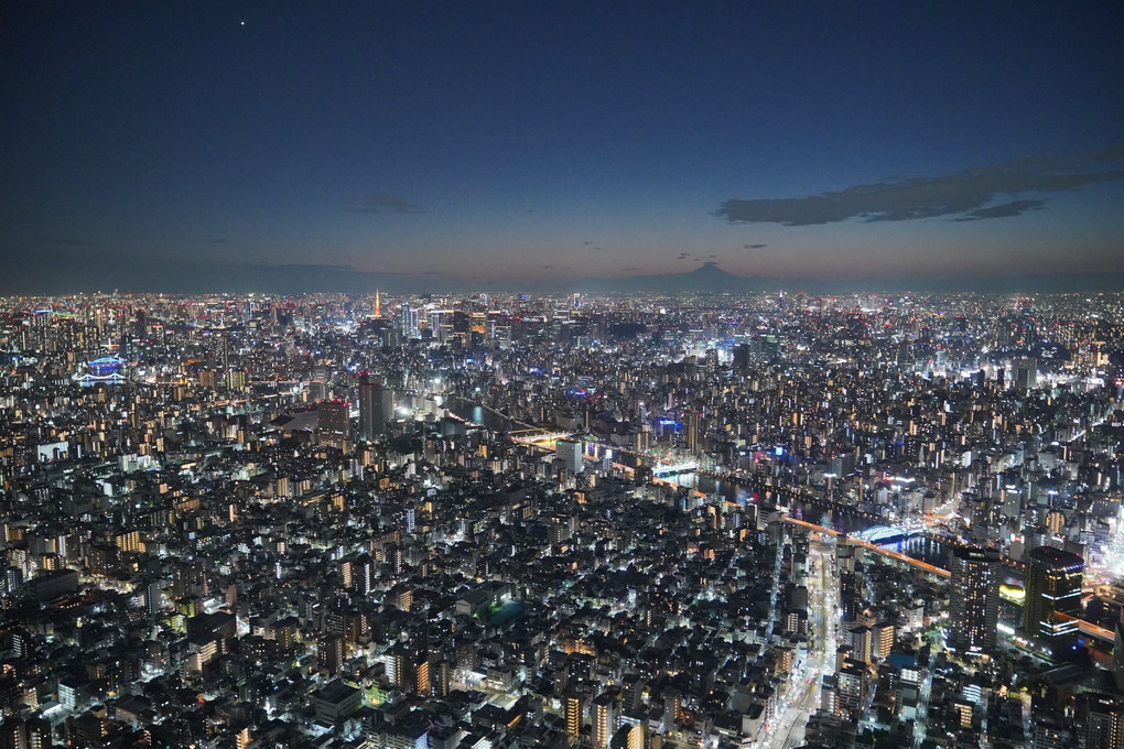 東京の夕景