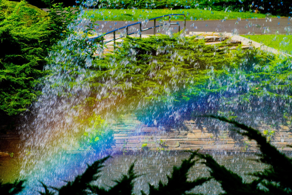 噴水と虹