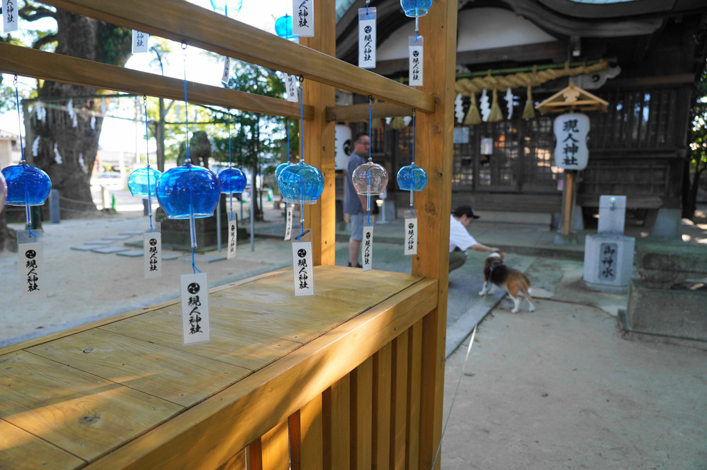 涼を求めて。。風鈴のある神社♪