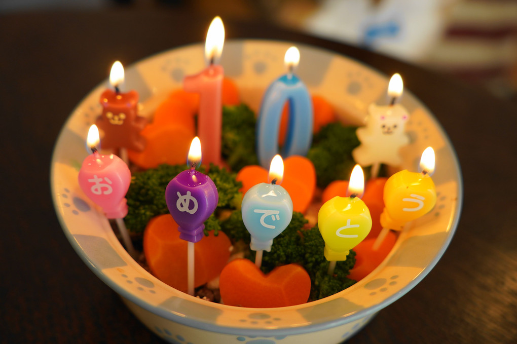 ゲンちゃま10歳　Happy♪(*^-^)ﾉ”iiiiiii Birthday♪