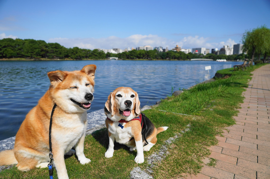 やっと、青空が。。＼(^o^)／