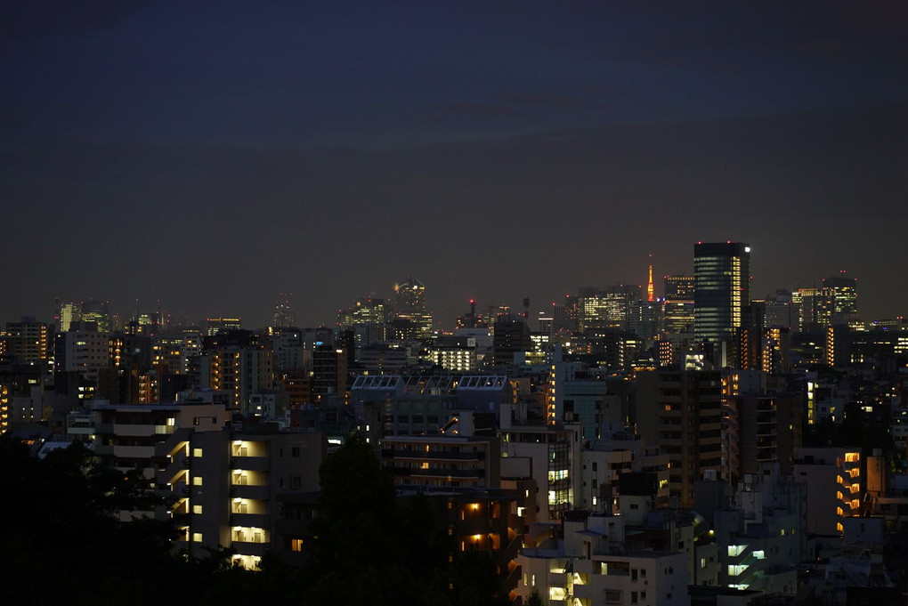 東京・夜景。
