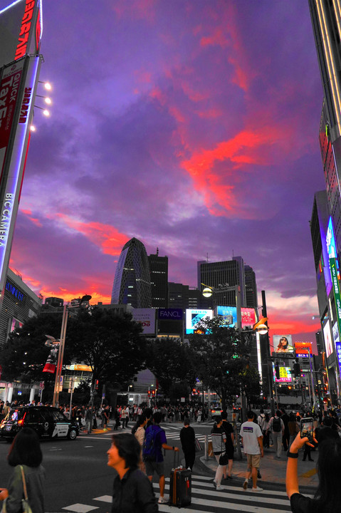 夕日に染まる新宿