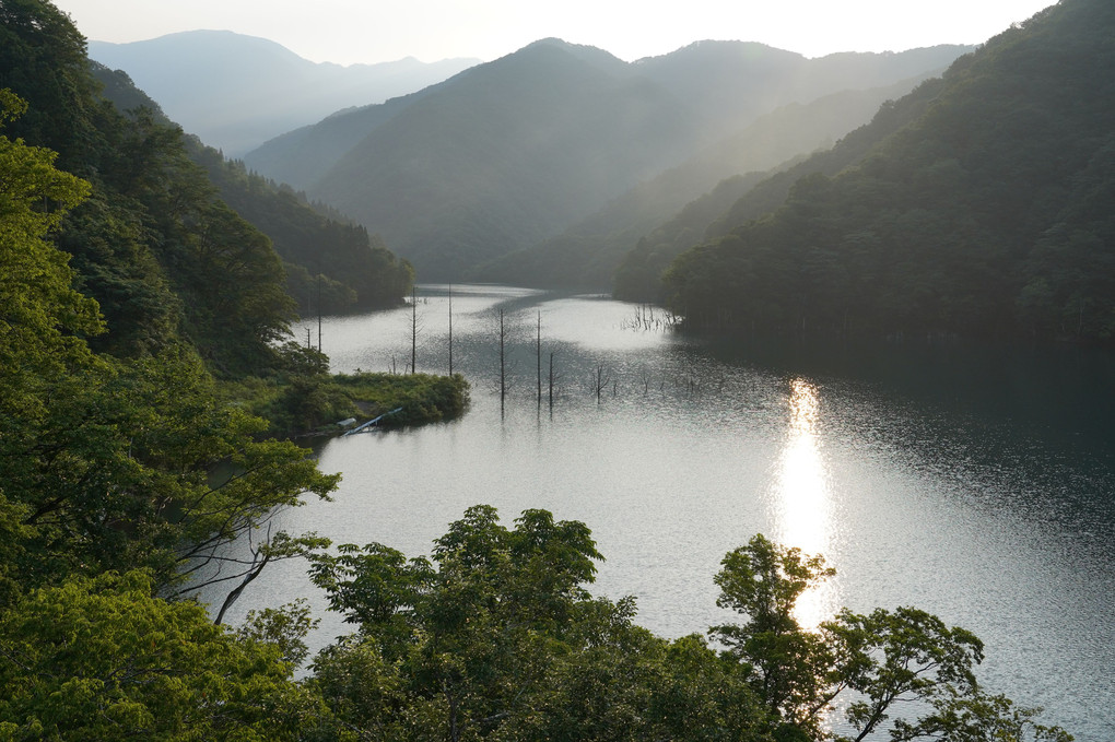 朝の徳山湖３景