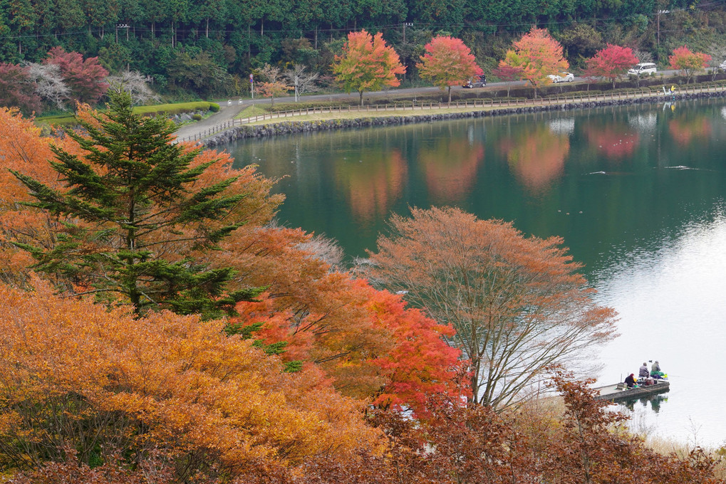 秋色の田貫湖