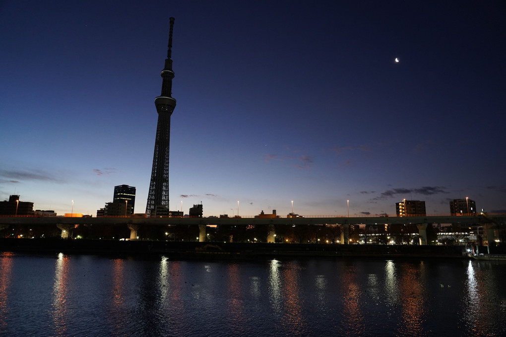 隅田川朝の散歩写真