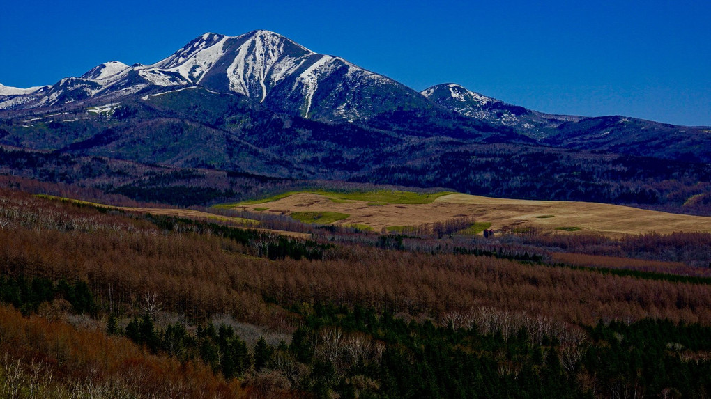 ソフトクリームと知床連山