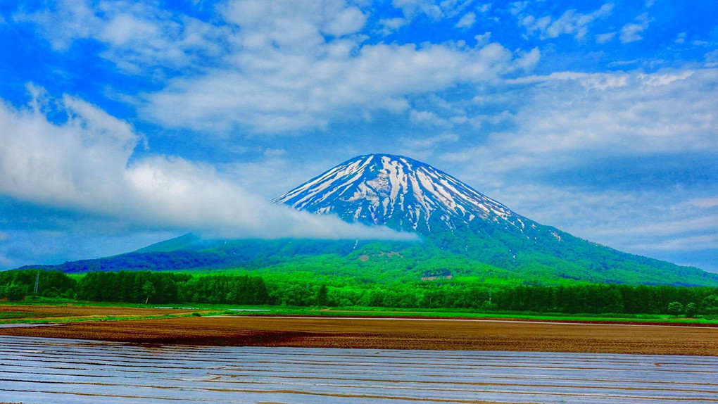 羊蹄山色々撮ってみました。