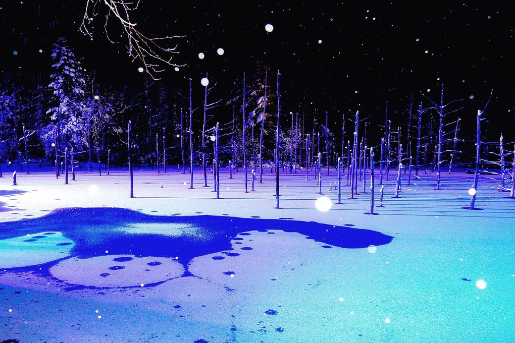 夜の青い池