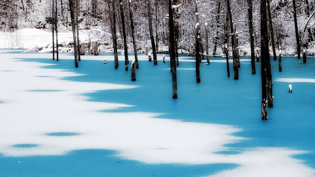 青い池 初冬