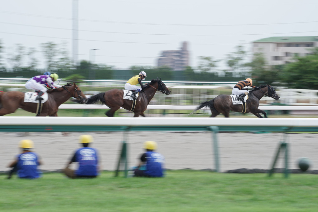 中京競馬場で流し撮り