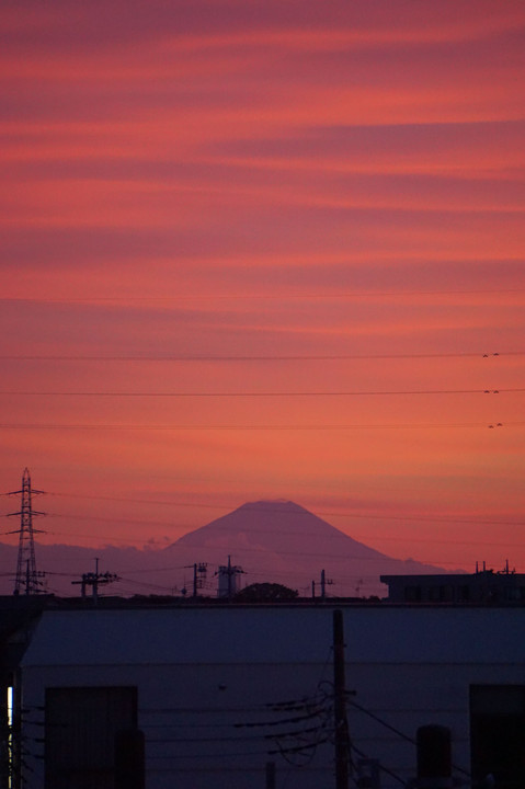千葉の自宅から撮った３色の富士山