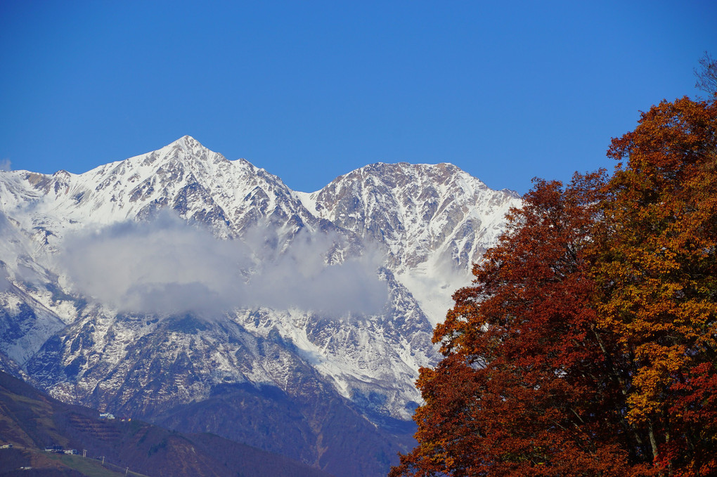 雪と紅葉