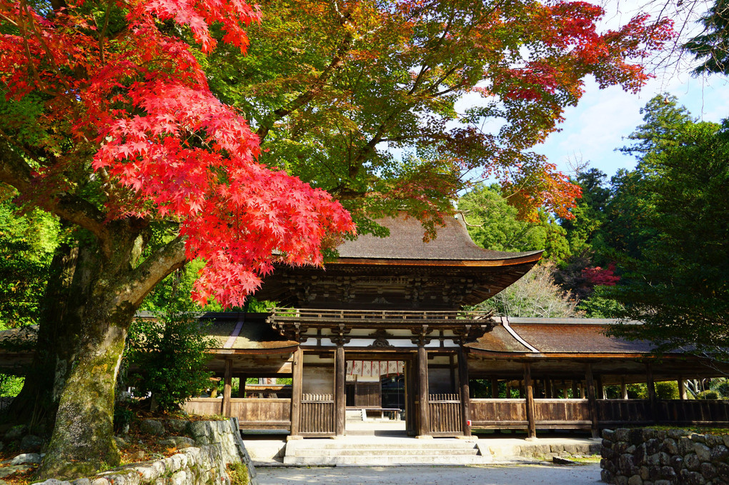 油日神社