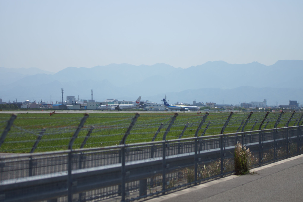 松山空港