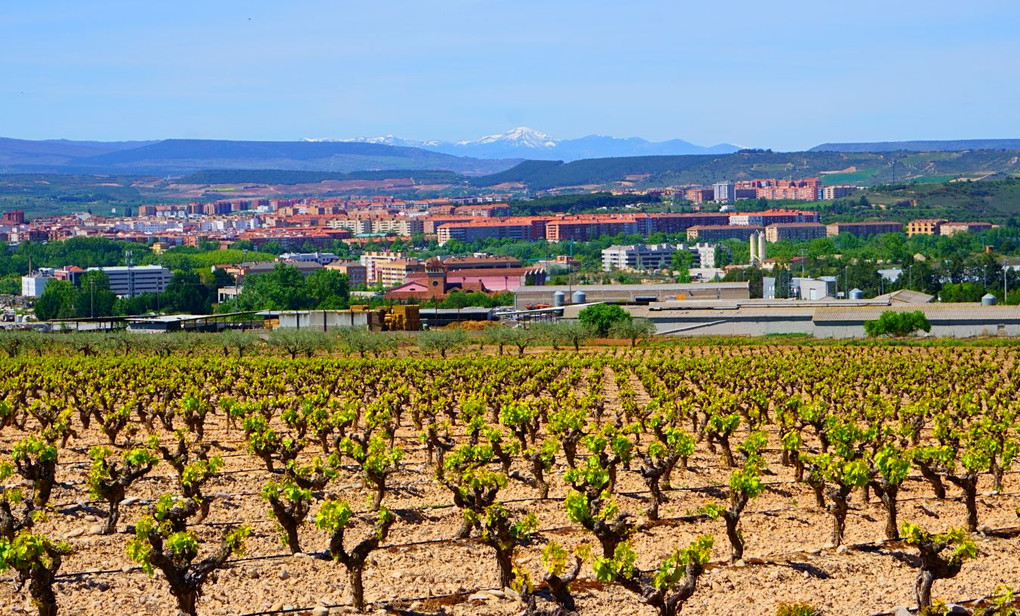 ワインの産地 ラ・リオハの風景
