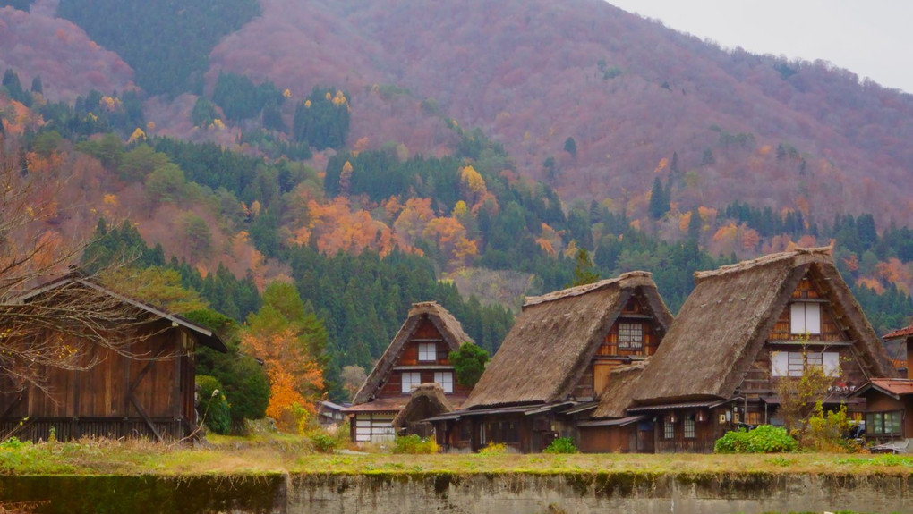 雨の白川郷