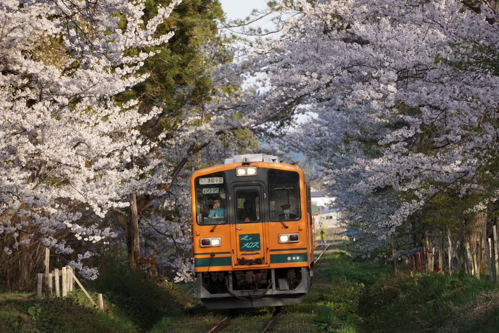 2016.4.27 津軽鉄道 芦野公園駅