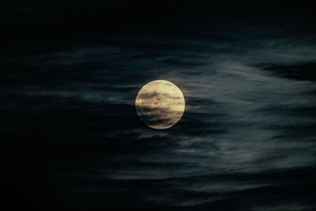 Beaver Moon 〜 11月の満月