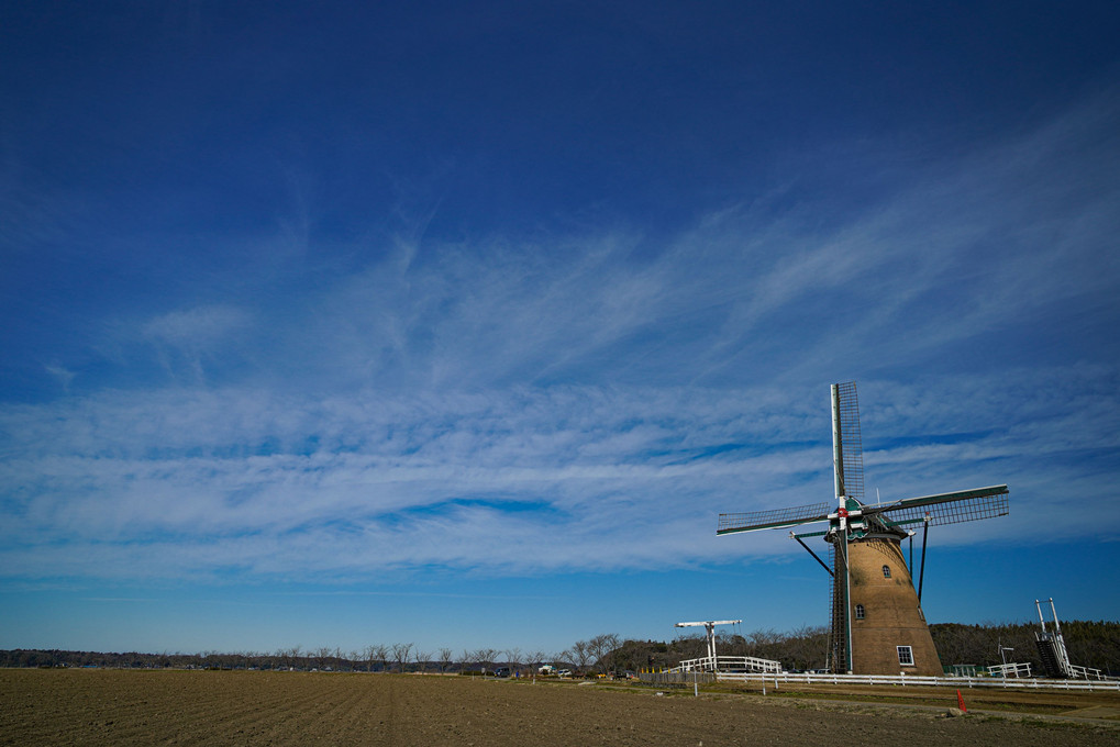 春を待つオランダ風車