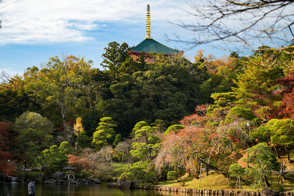 成田山新勝寺いろいろ