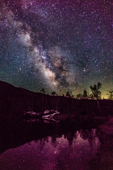 Milky Way of the pond