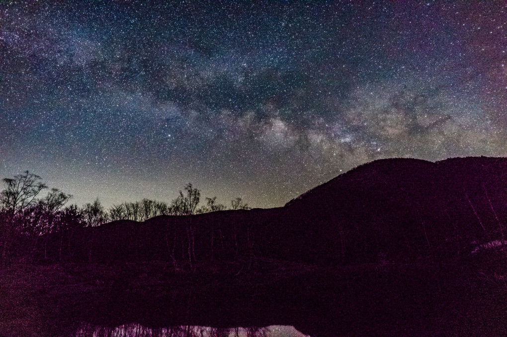 Milky Way of the pond
