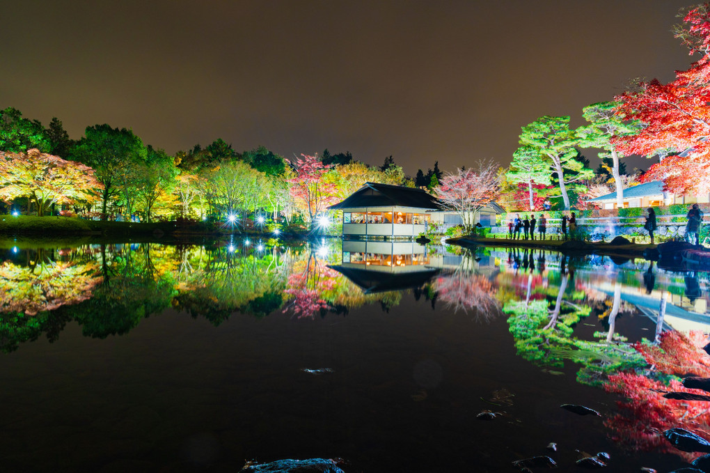 日本庭園紅葉ライトアップ水鏡