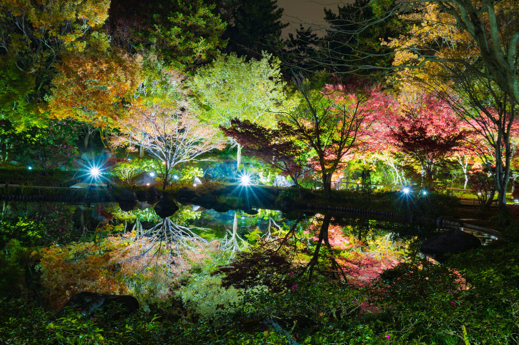 日本庭園紅葉ライトアップ水鏡