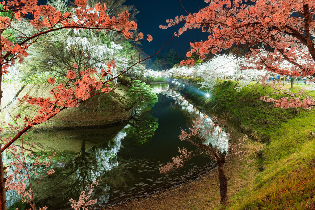 上田城城跡公園のライトアップ