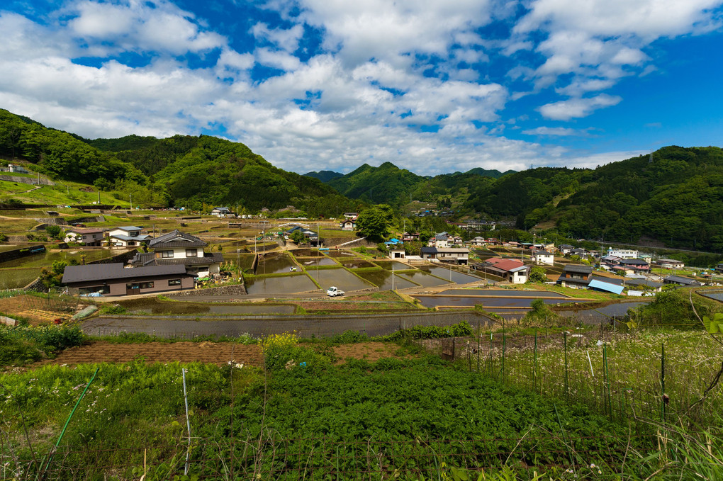 一瞬だけの五月晴れの棚田