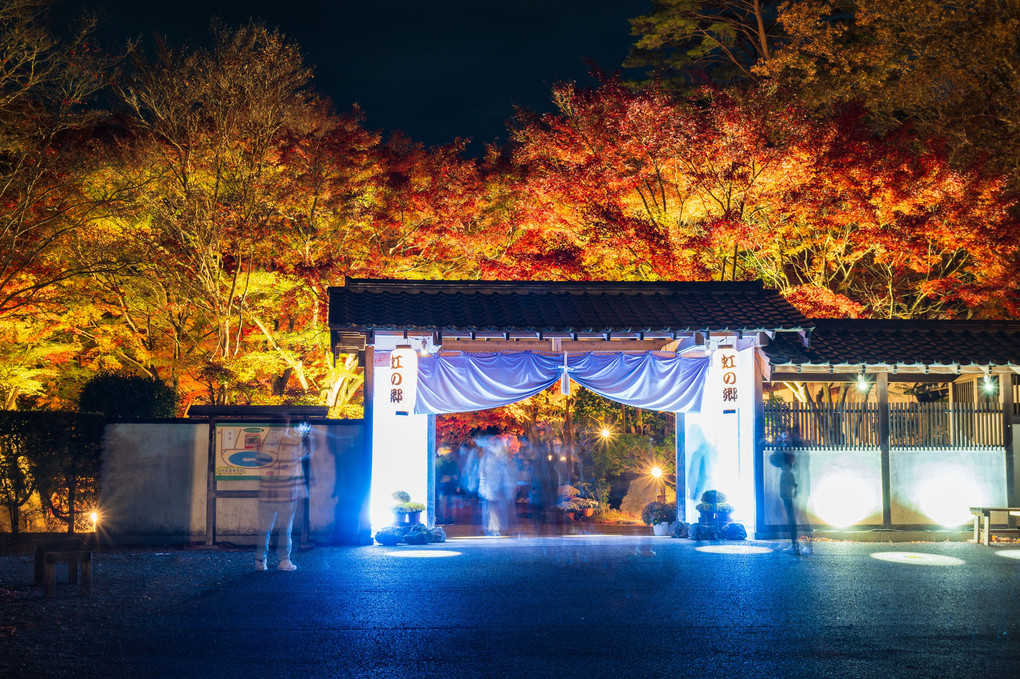 虹の郷紅葉ライトアップとその後の花火