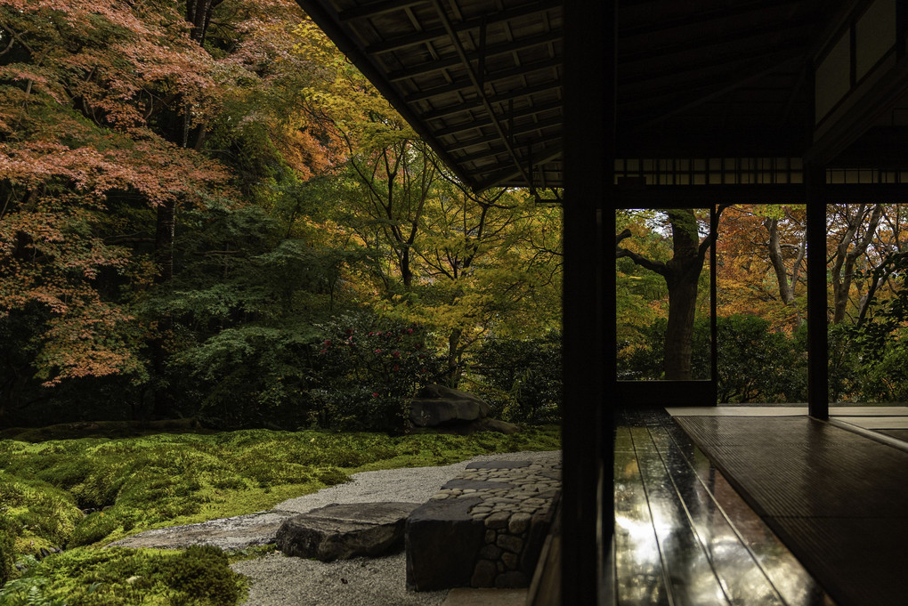 風情溢れる京都の庭